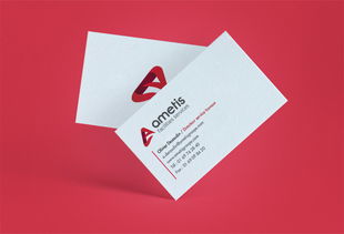 Ametis技術開發(fā)公司企業(yè)品牌形象設計與策劃方案